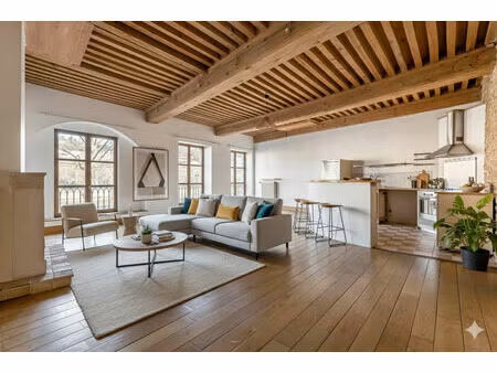 appartement plein de cachet avec vue sur la saône