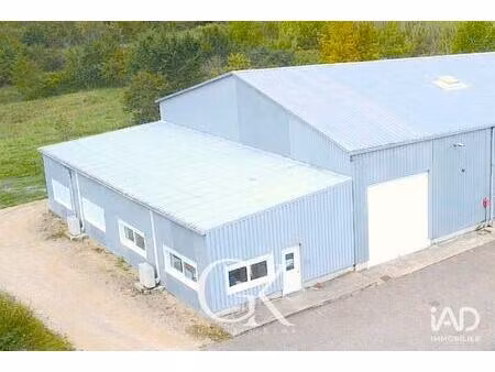 vente local d'activités 240 m²