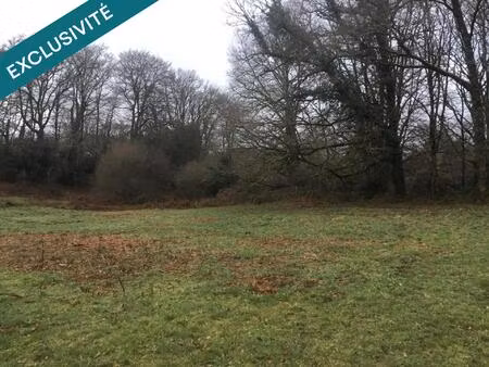 vente terrain 4630 m² bonnac-la-côte (87270)