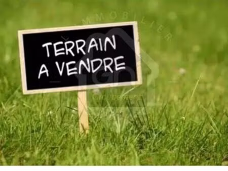 terrain constructible