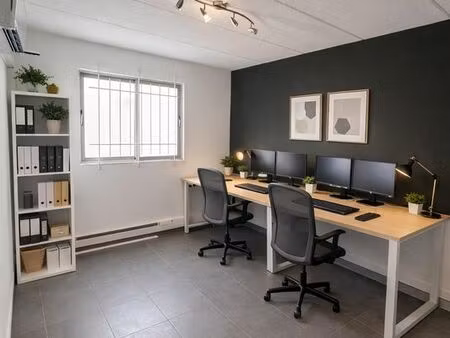 bureaux / locaux professionnels