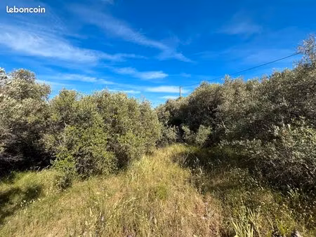 terrain constructible