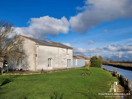 en bordure de marais