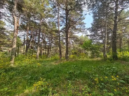 à vendre magnifique terrain de 2 578 m² à andon  secteur thorenc