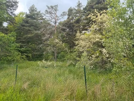 terrain à vendre 1 896 m² de nature à andon (secteur thorenc)