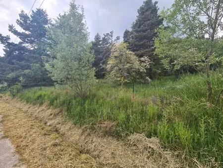 thorenc : terrain à vendre 1 896 m² de nature