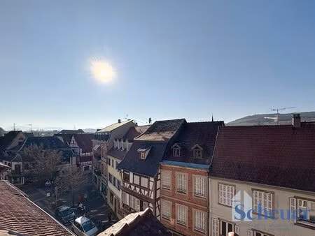 molsheim - 2 pieces - 55 63m²