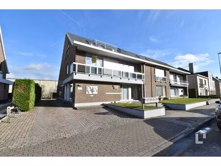 appartement te huur in deinze met 2 slaapkamers