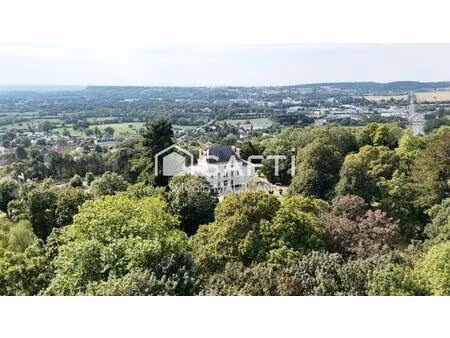 vente maison 22 pièces 640 m² varennes-vauzelles (58640)