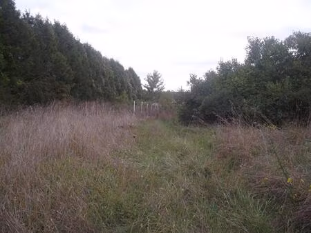 terrain constructible