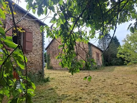vente maison 2 pièces 40 m² ségur-le-château (19230)
