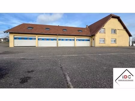 achat immeuble sarrebourg 57400