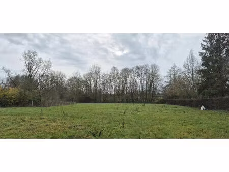 achat terrain 3 000m²