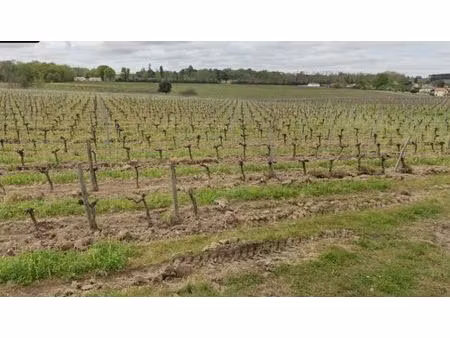vente terrain 580 m² artigues-près-bordeaux (33370)