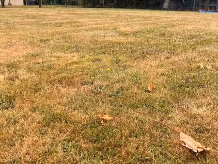 vente terrain 580 m² capian (33550)