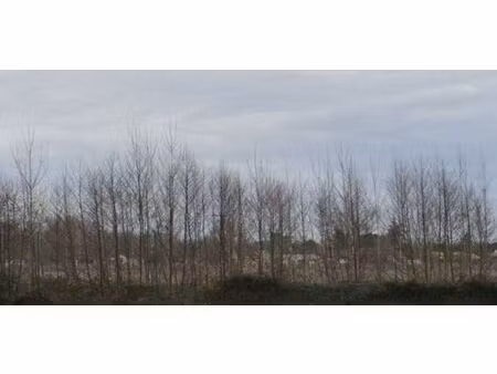 vente terrain 700 m² saint-germain-du-puch (33750)