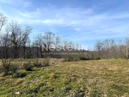 a vendre proche auterive: terrain de 6293 m2 viabilise  libre de tous constructeurs