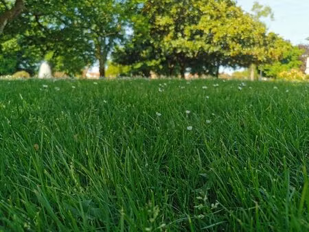 vente terrain 676 m² audenge (33980)