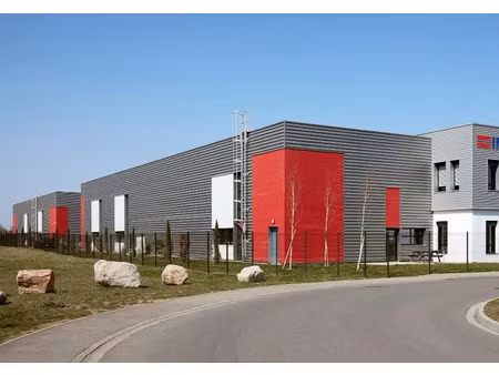 location local d'activités saint priest 69800