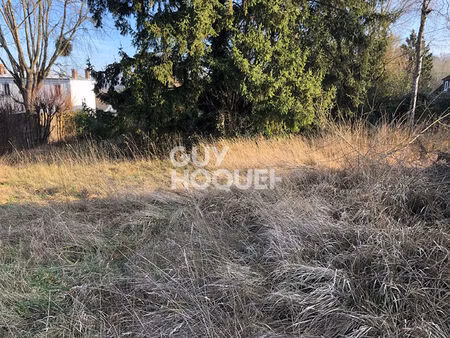 terrain constructible