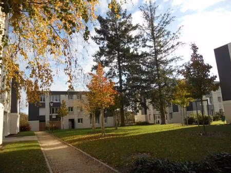 location appartement 1 pièce 34 m² à nouan-le-fuzelier (41600)