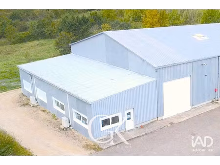 vente bureaux et commerces à rochetoirin (38110) : à vendre / 240m² rochetoirin