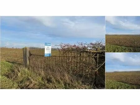 terrain agricole à vendre à avenue des fauvettes braine-le-comte (vbd76594)