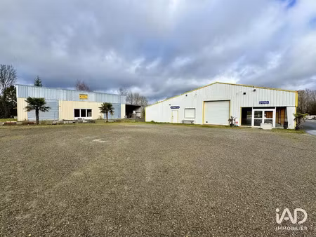 vente bureaux et commerces à vernantes (49390) : à vendre / 1200m² vernantes