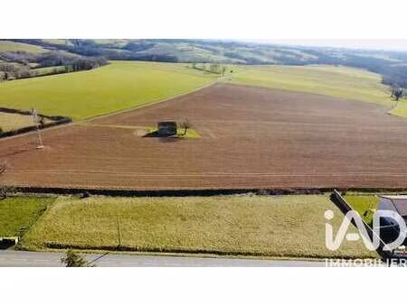 vente terrain à pampelonne (81190) : à vendre / 1900m² pampelonne