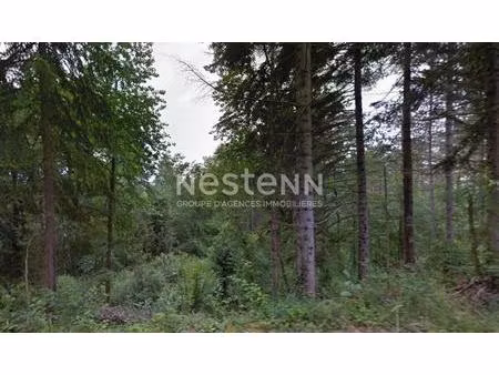 à vendre : terrain forestier de 16 ha 29 a 35 ca