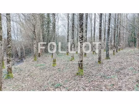 achat terrain 2 217m² hocquigny 50320