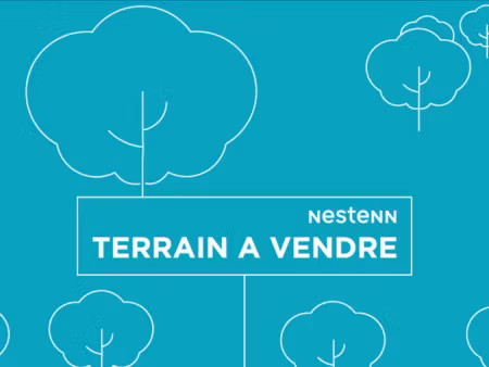 vente terrain 1450 m² à saint-caprais-de-bordeaux (33880)  139 100 €