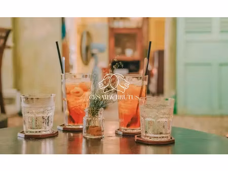 fonds de commerce lyon 02 91 m2