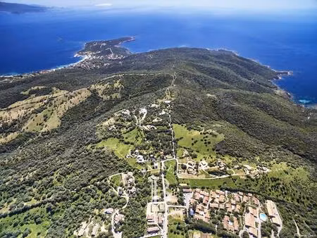 exclusivité  valinco  villa d'architecte  7 chambres  piscine  vue mer panoramique  proche