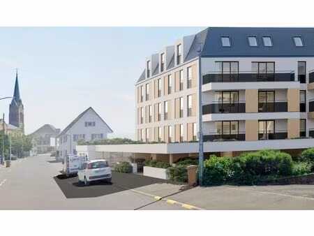 vente programme neuf t2  t3  t4 pièces 40 à 70 m² village-neuf (68128)