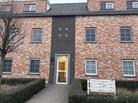 appartement à louer à rijkevorsel € 950 (ljyms) - albert rijkevorsel | zimmo