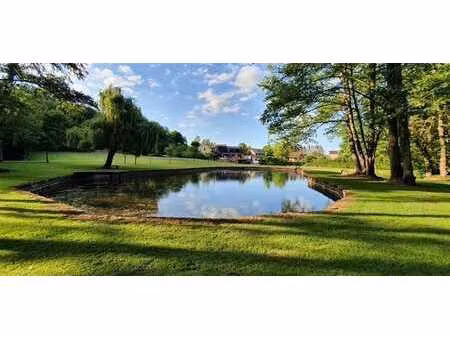 rare propriété sur +/- 90 ares