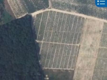 vigne beaujolais villages 1.25ha