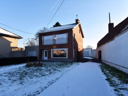 maison à louer à adegem € 895 (ljyv1) - zakenkantoor roels | zimmo