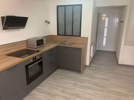 location meublée appartement 1 pièce 20.59 m² à vesoul (70000)  380 €