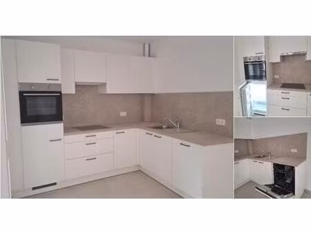 maison à louer à molenstraat 63 grammont (rwc41658)