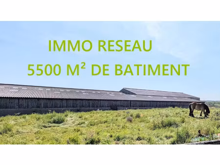 vente immeuble 5500 m² saint-hilaire-de-riez (85270)