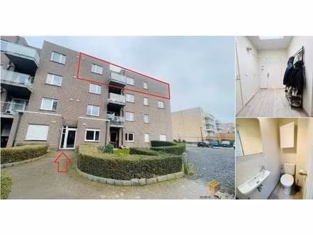 appartement à louer à rue edmond de sélys-longchamps 1 waremme (vbd76933)