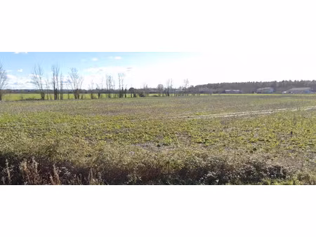 vente terrain 3700 m² à ciadoux (31350)  46 000 €