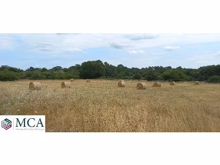 vente terrain 1400 m² à eygurande-et-gardedeuil (24700)  16 800 €