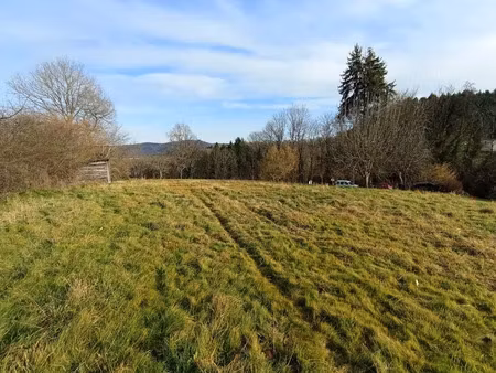 vente terrain 2250 m² à le mayet-de-montagne (03250)  25 900 €