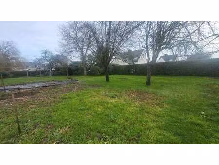 vente terrain à merlevenez (56700) : à vendre / 550m² merlevenez