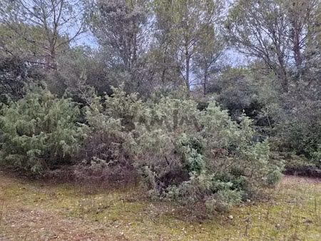 vente terrain 1974 m² à mus (30121)  9 300 €