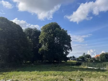 vente terrain 737 m² à croix-caluyau (59222)  25 000 €