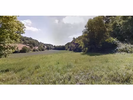 vente terrain 602 m² à carbonne (31390)  65 000 €